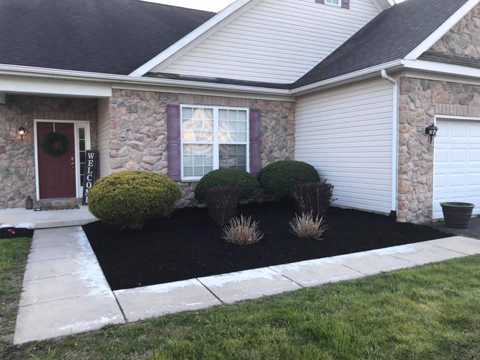 DA Tree Service at work